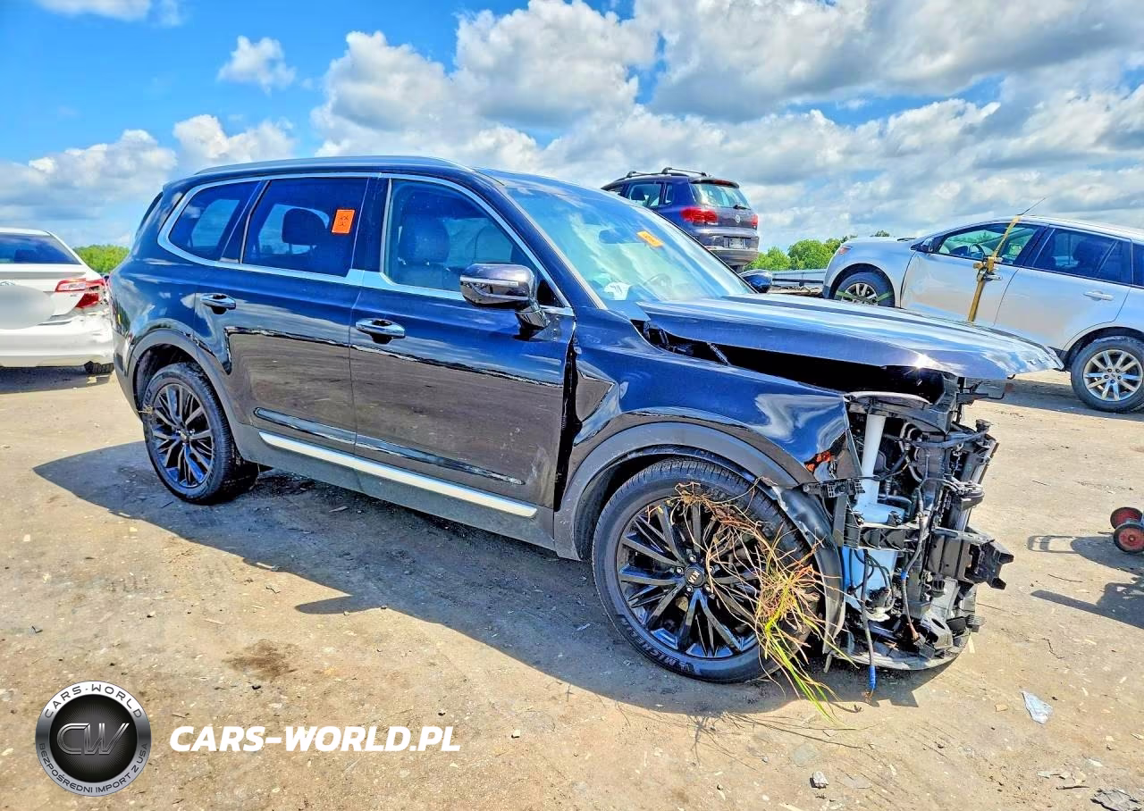 2021 Kia Telluride Sx VIN:5XYP5DHC9MG173778 - 4