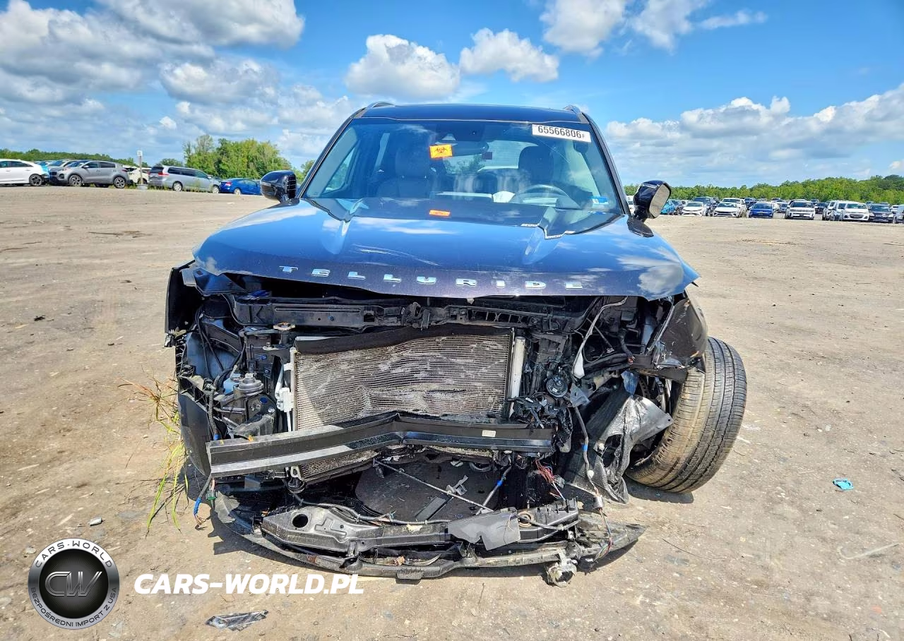 2021 Kia Telluride Sx VIN:5XYP5DHC9MG173778 - 5