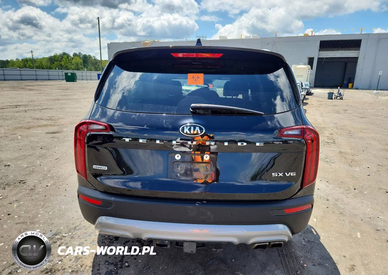 2021 Kia Telluride Sx VIN:5XYP5DHC9MG173778 - 6