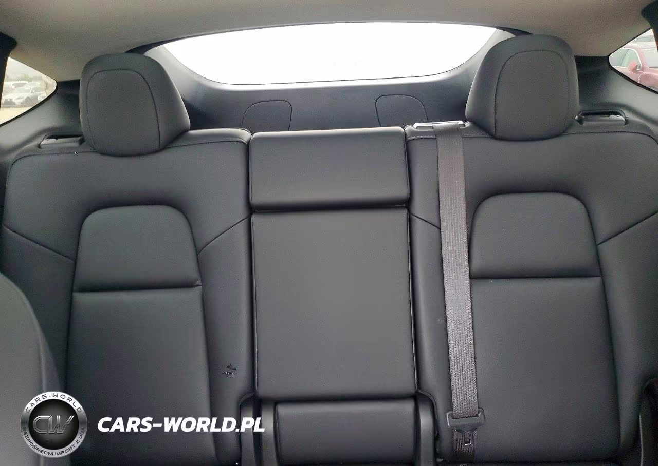 2023 Tesla Model Y VIN:7SAYGDEE6PF916285 - 10