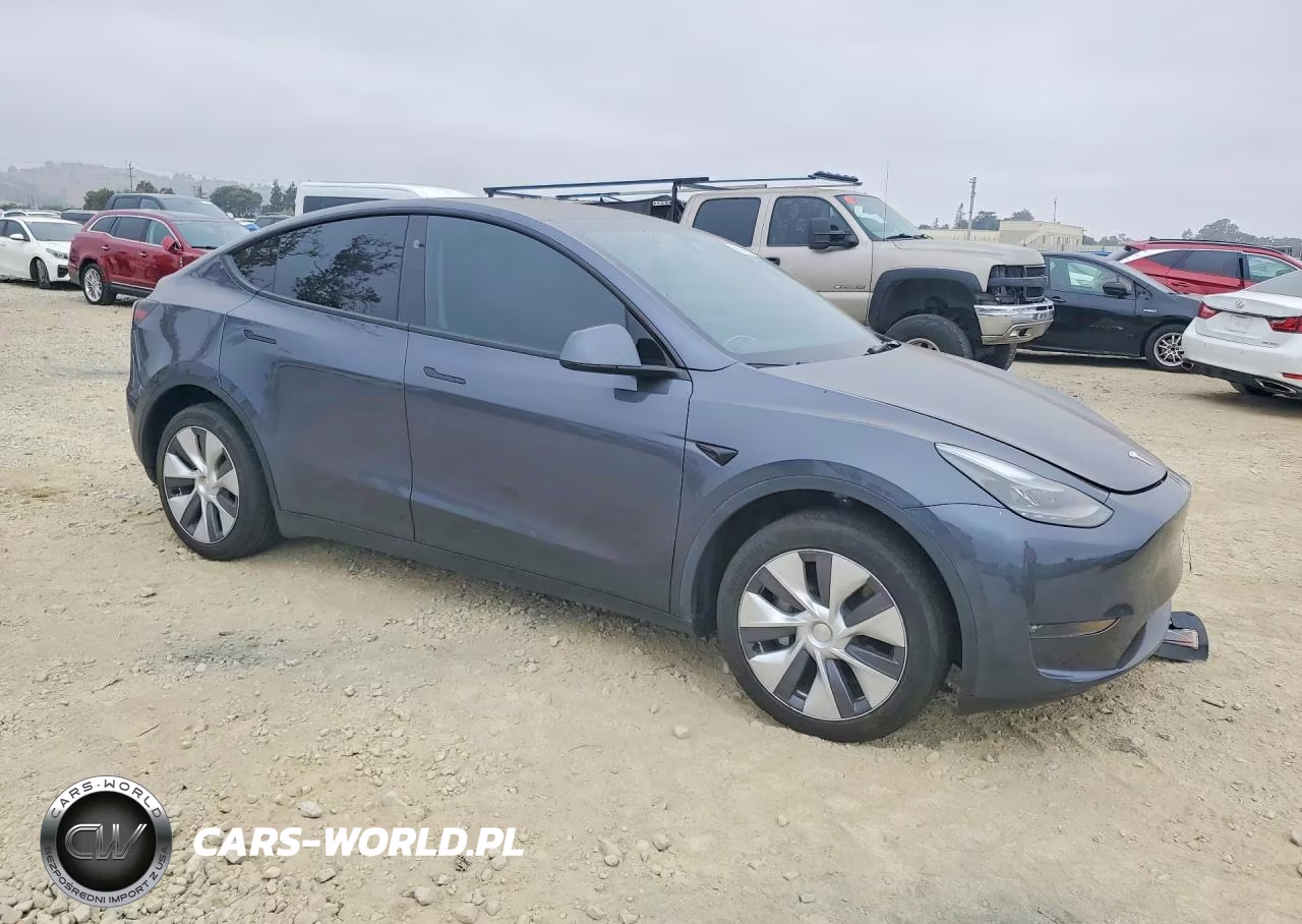 2023 Tesla Model Y VIN:7SAYGDEE6PF916285 - 4