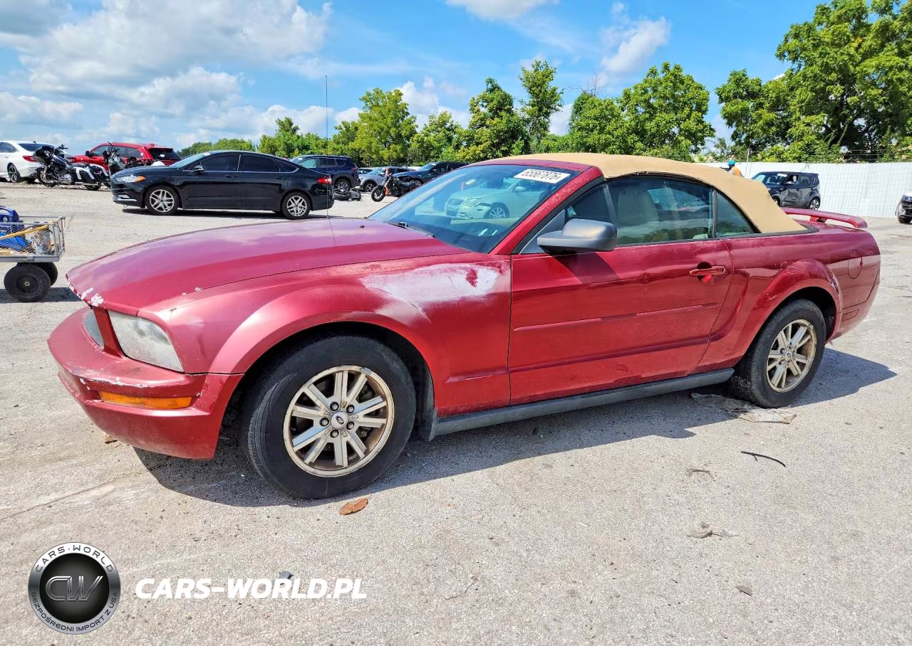 2006 Ford Mustang – zdjęcie 1 z 12