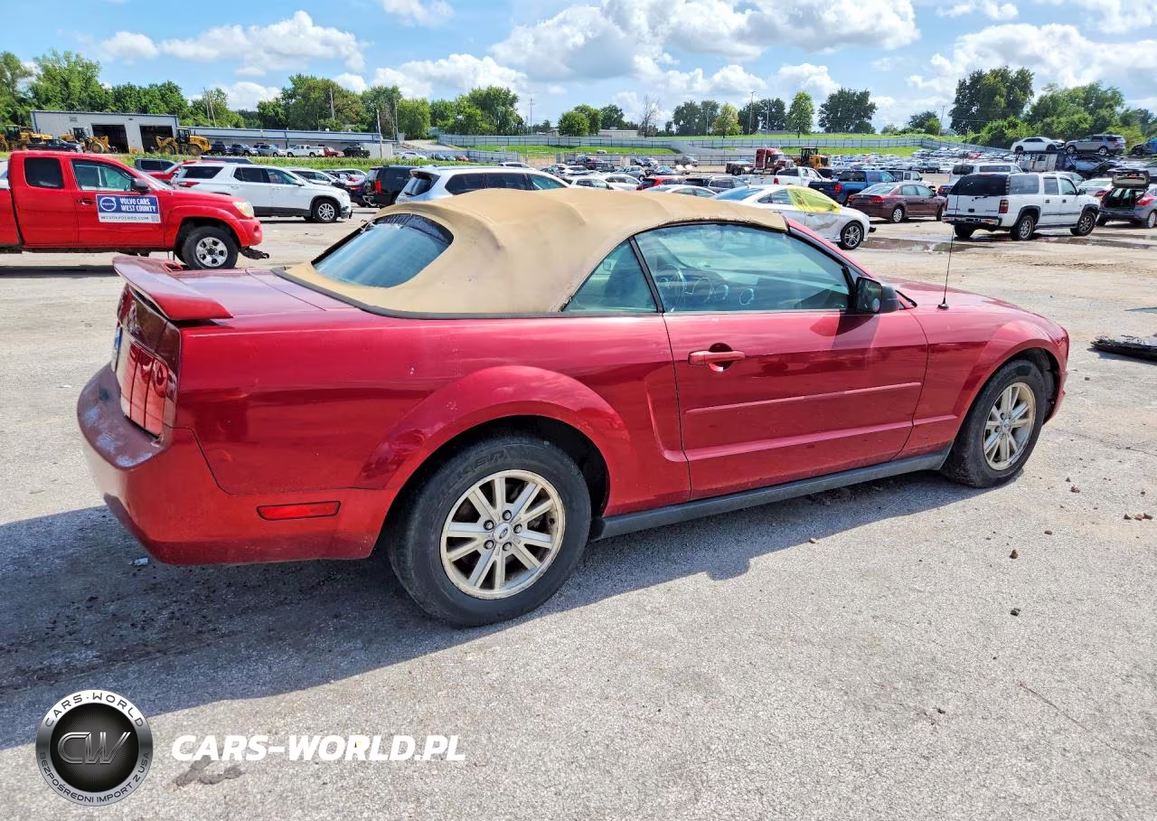 2006 Ford Mustang VIN:1ZVFT84N465217937 - 3