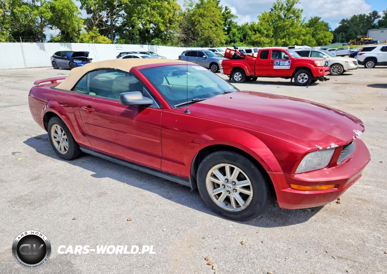 2006 Ford Mustang VIN:1ZVFT84N465217937 - 4