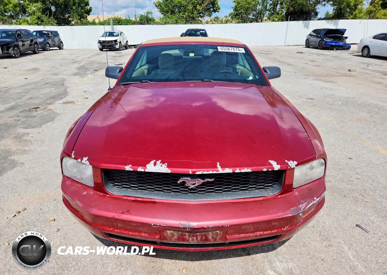 2006 Ford Mustang VIN:1ZVFT84N465217937 - 5