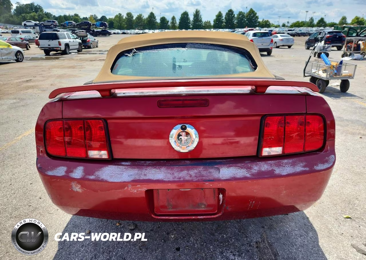 2006 Ford Mustang VIN:1ZVFT84N465217937 - 6