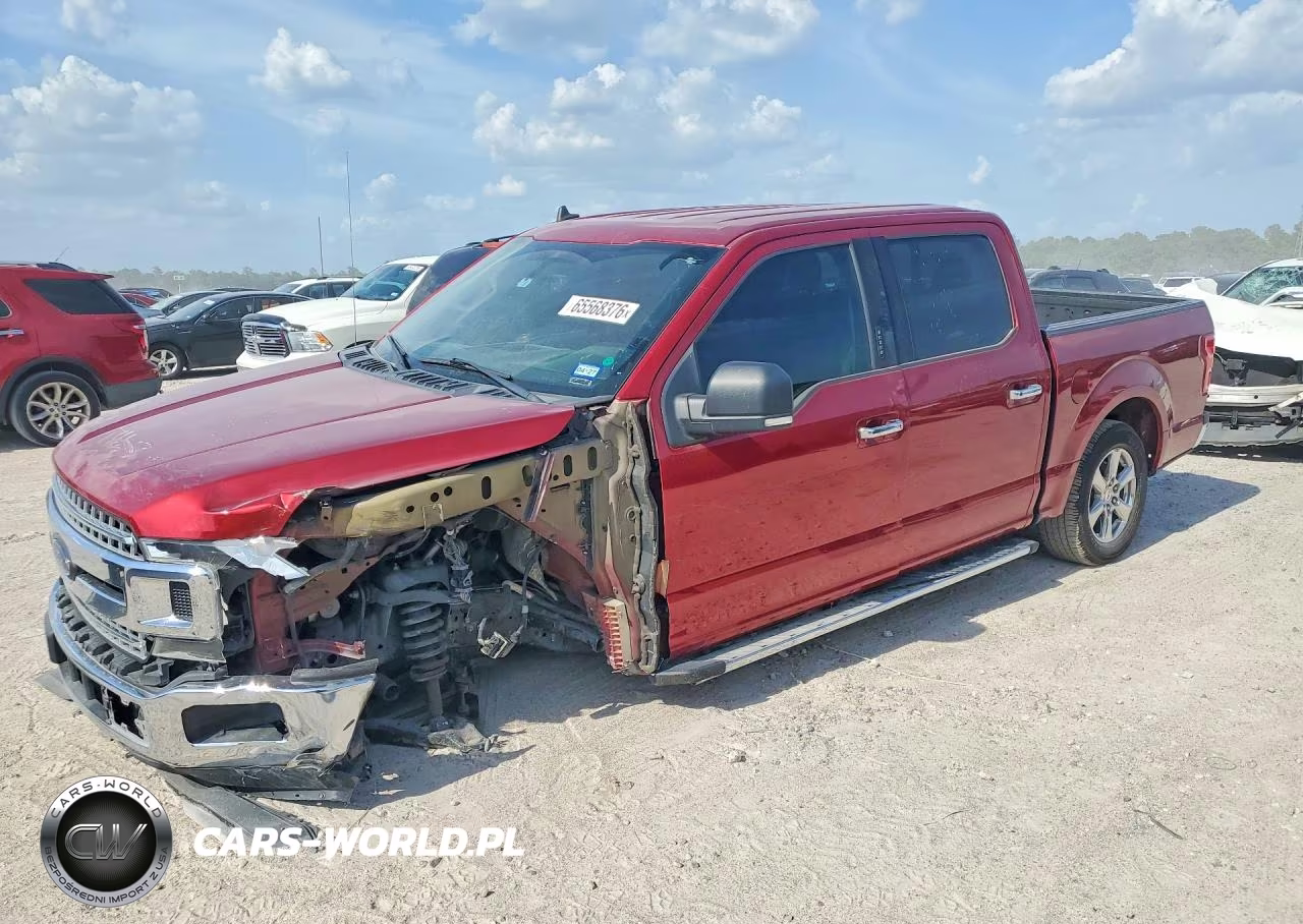 2019 Ford F150 Supercrew VIN:1FTEW1CP2KKF31565 - 1
