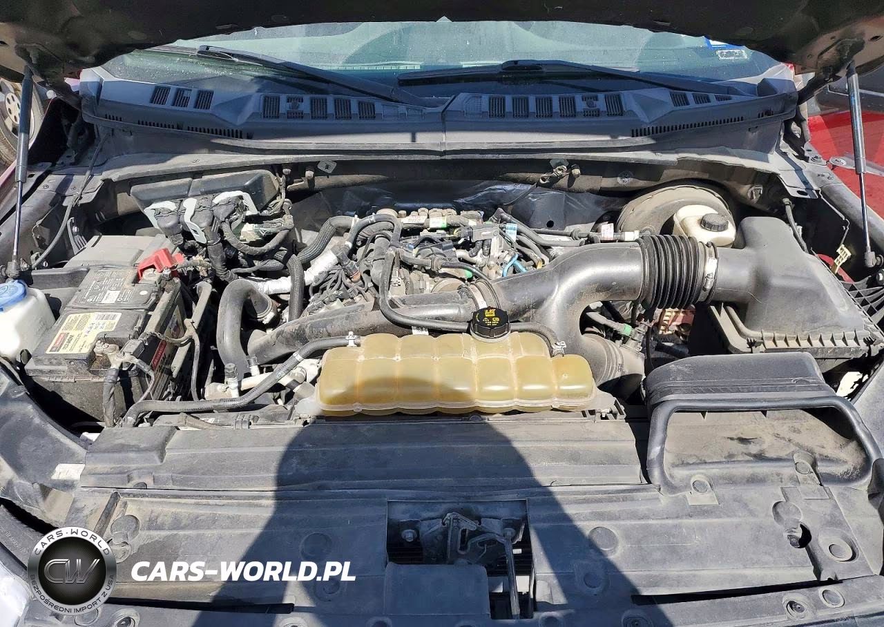 2019 Ford F150 Supercrew VIN:1FTEW1CP2KKF31565 - 11