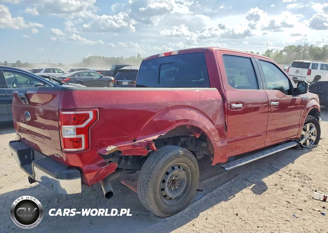 2019 Ford F150 Supercrew VIN:1FTEW1CP2KKF31565 - 3