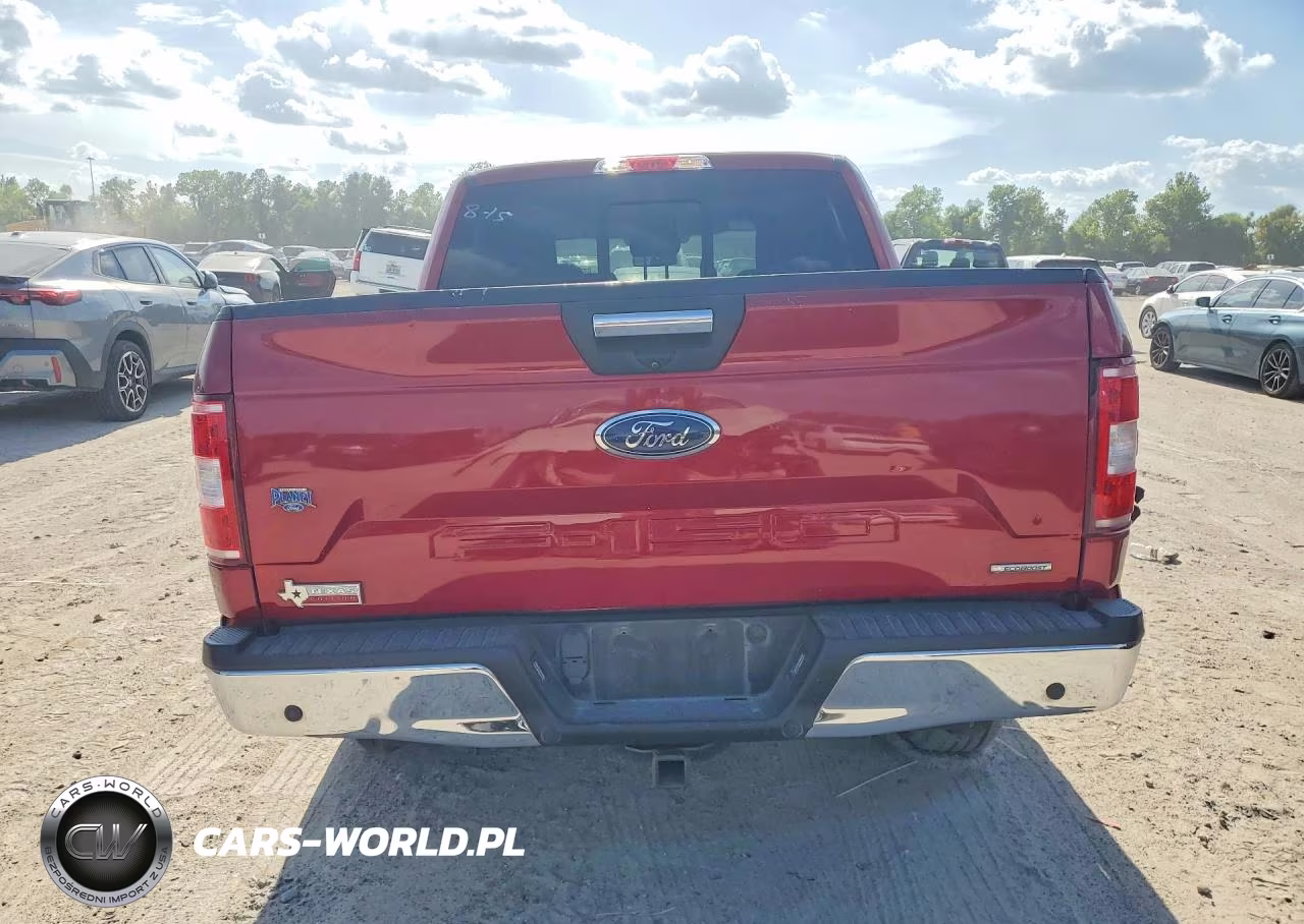 2019 Ford F150 Supercrew VIN:1FTEW1CP2KKF31565 - 6