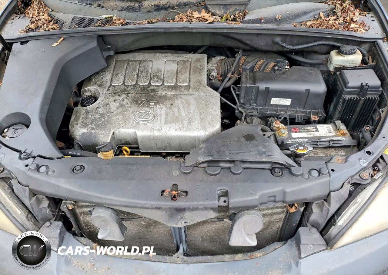 2007 Lexus Rx 350 VIN:2T2HK31U27C021993 - 12