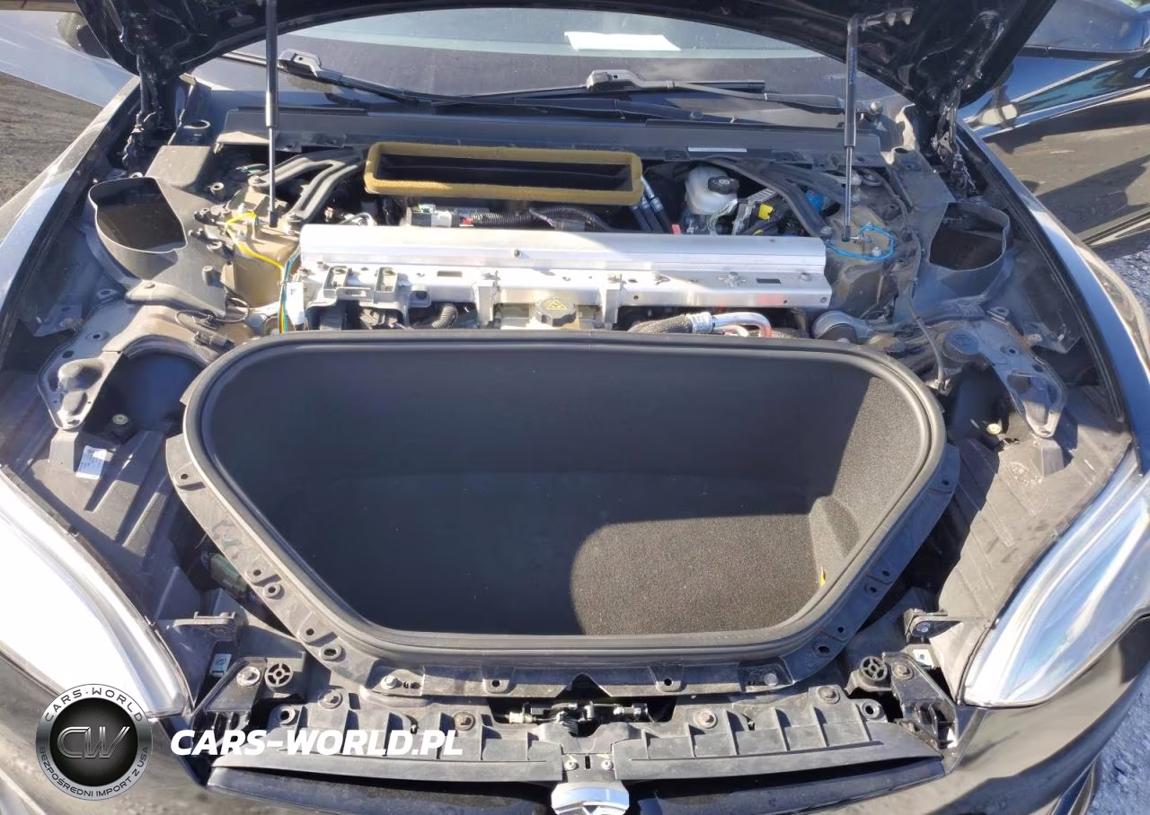 2021 Tesla Model S VIN:5YJSA1E62MF452435 - 11