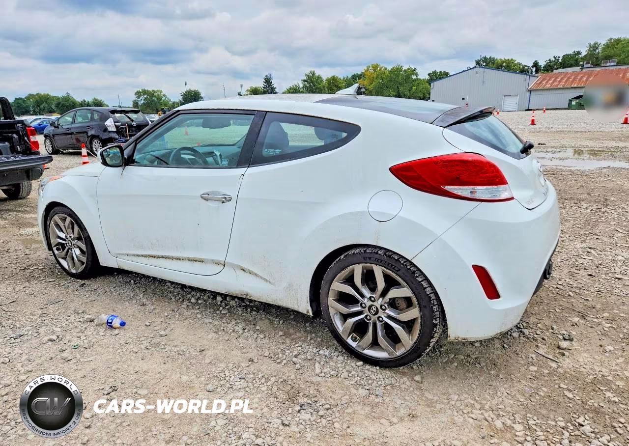 2014 Hyundai Veloster Re:flex VIN:KMHTC6ADXEU214014 - 2