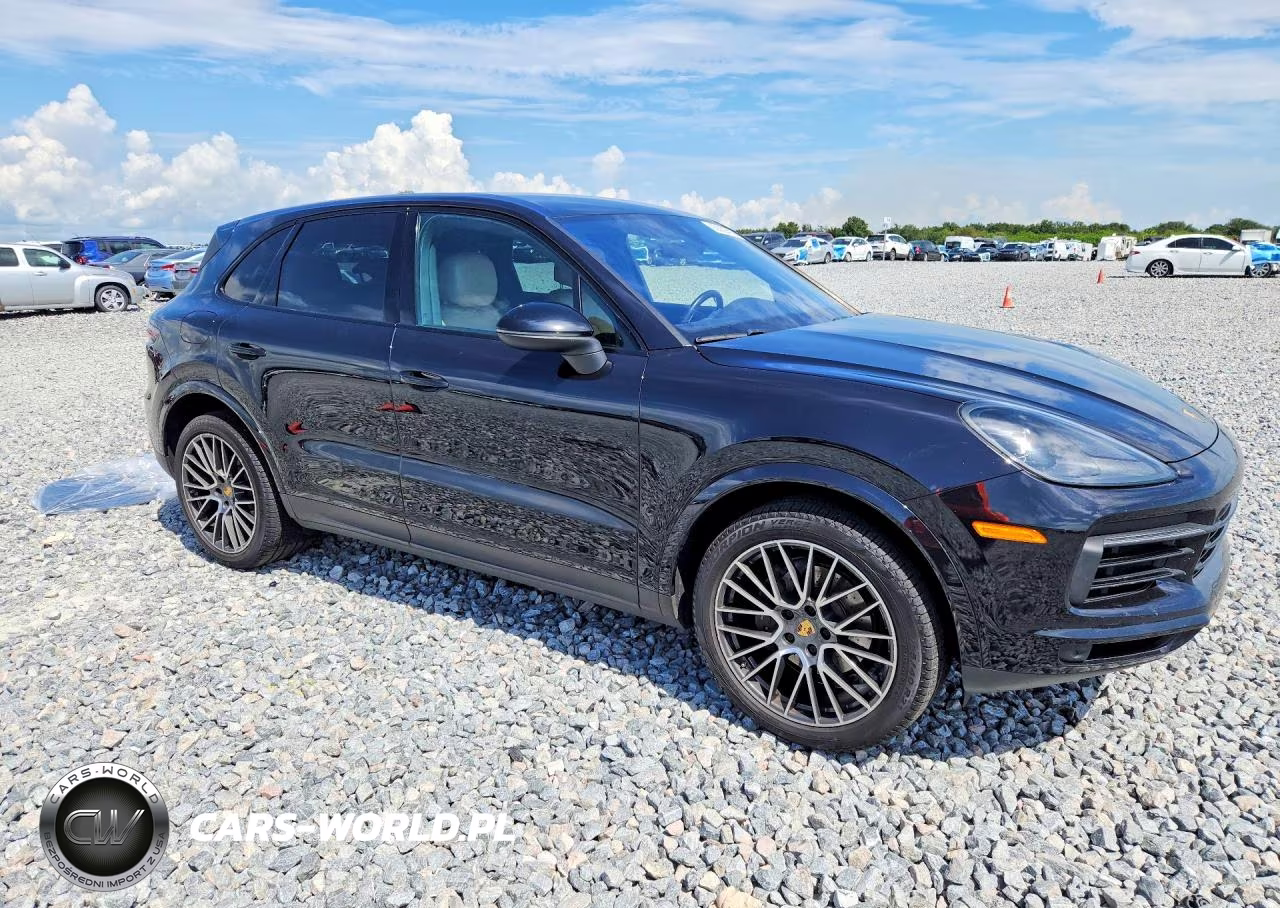 2020 Porsche Cayenne VIN:WP1AA2AYXLDA10208 - 4