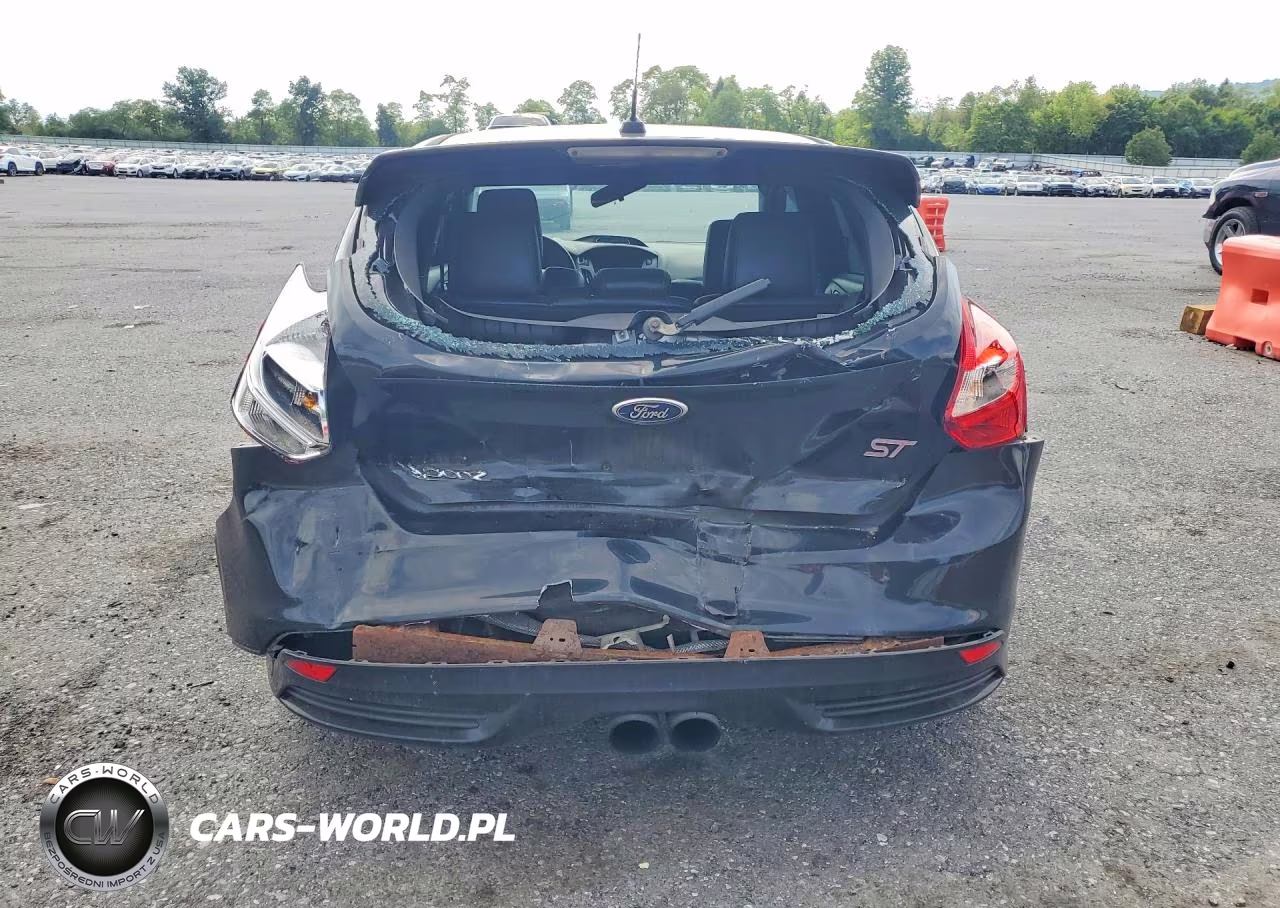 2014 Ford Focus St VIN:1FADP3L90EL212210 - 6