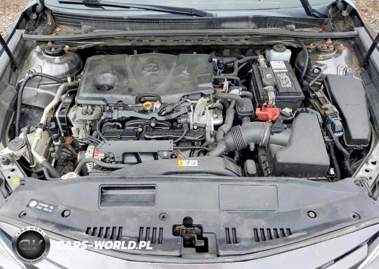 2019 Toyota Camry Le VIN:4T1B11HK9KU801096 - 11