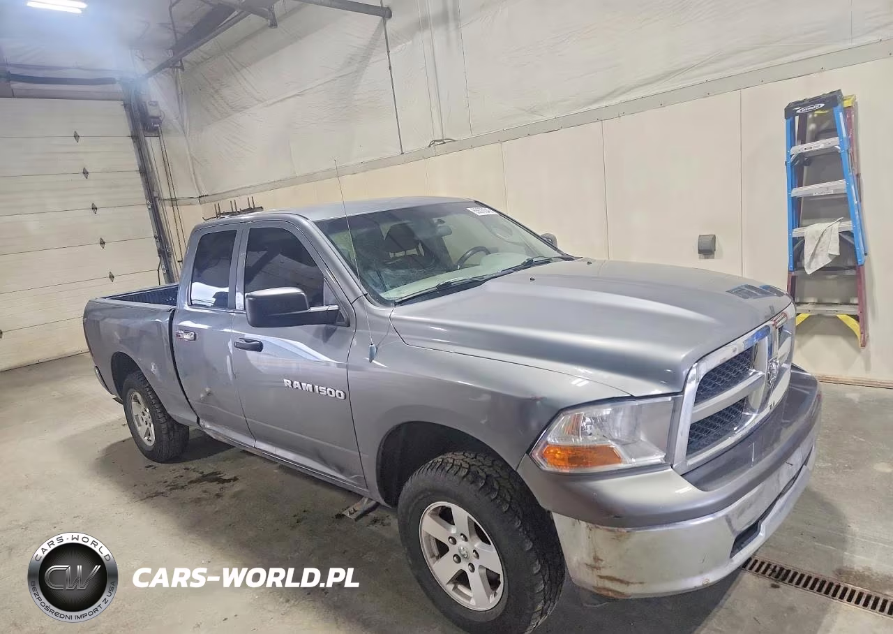 2009 Dodge Ram 1500 VIN:1D3HV18P99S804866 - 4
