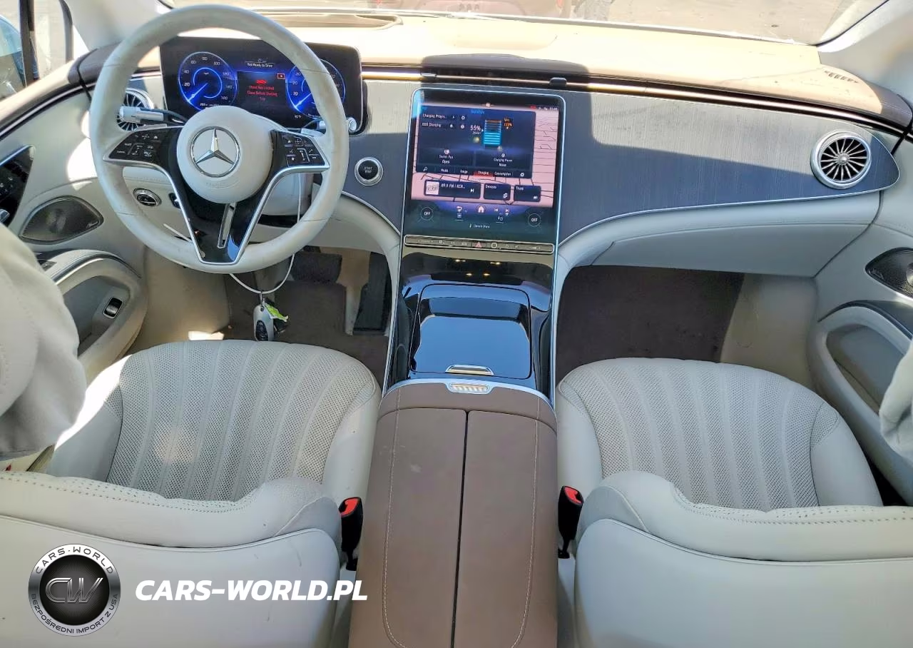 2022 Mercedes-Benz Eqs Sedan 450+ VIN:W1KCG2DB5NA005217 - 8