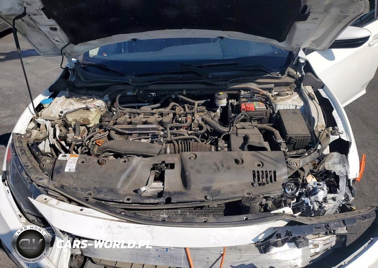 2020 Honda Civic Ex VIN:19XFC1F31LE211602 - 11