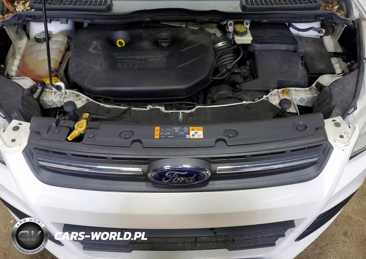 2013 Ford Escape Se VIN:1FMCU9G96DUA14845 - 12