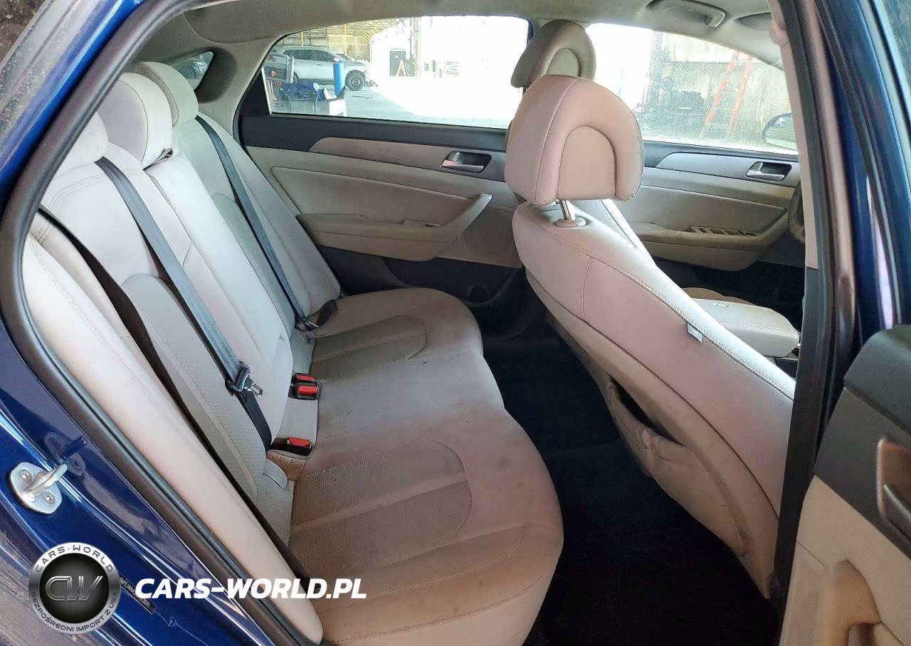 2016 Hyundai Sonata Eco VIN:5NPE24AA5GH423071 - 10