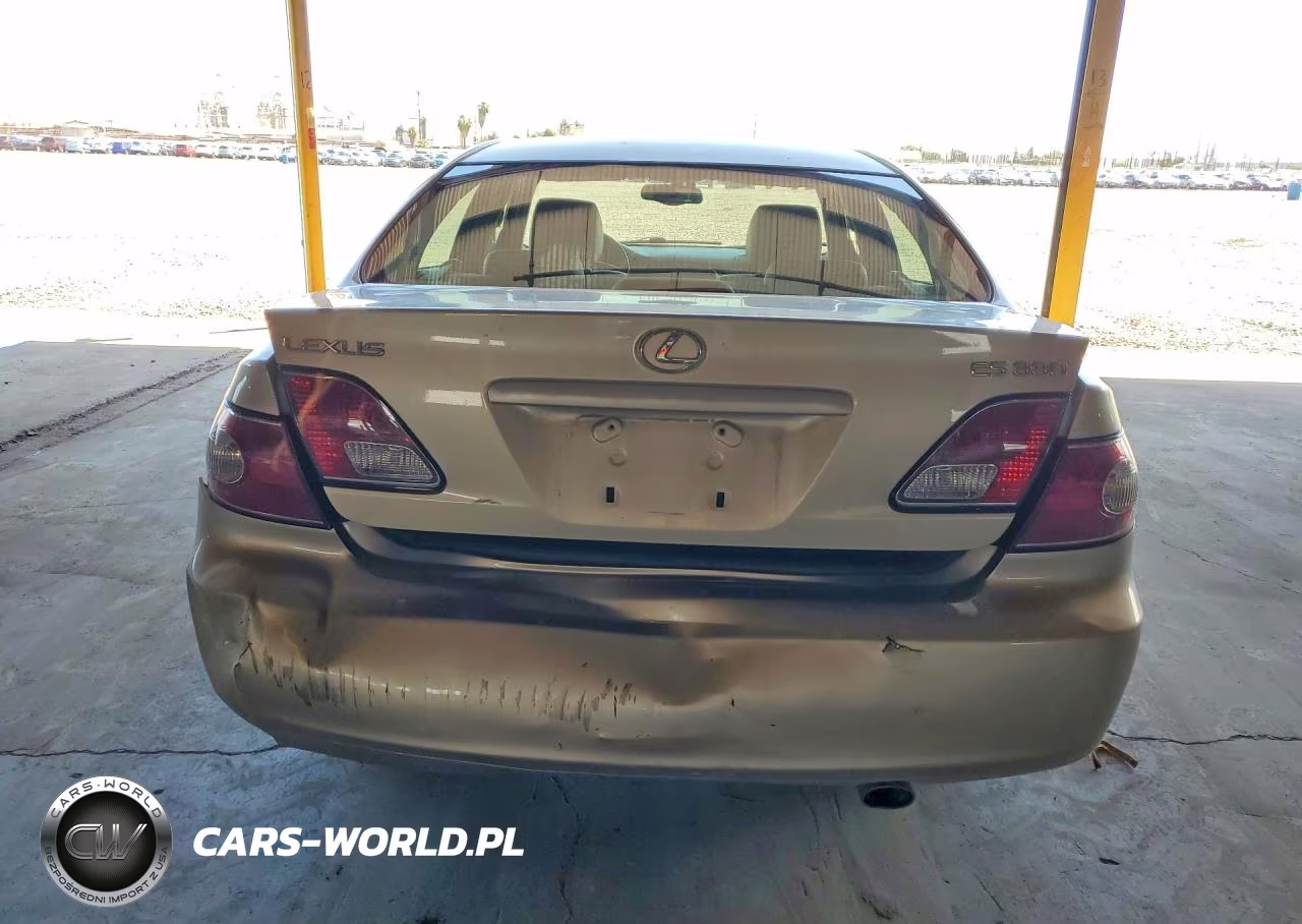 2004 Lexus Es 330 VIN:JTHBA30G740011019 - 6