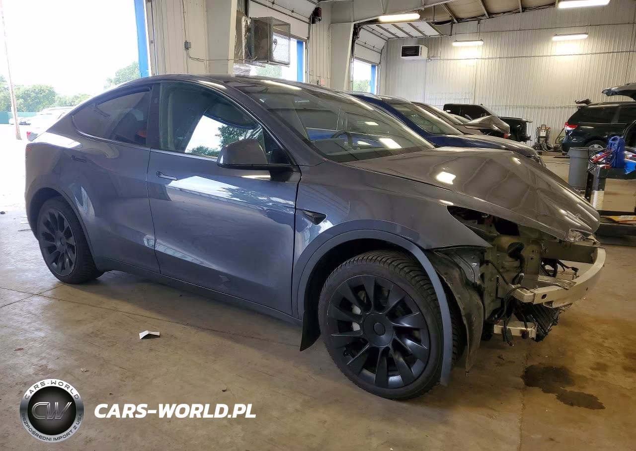 2024 Tesla Model Y VIN:7SAYGDEE4RA216961 - 4