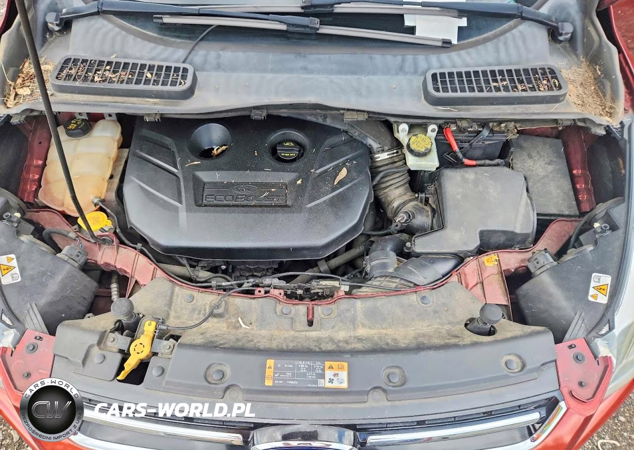 2014 Ford Escape Titanium VIN:1FMCU9J98EUB76941 - 12