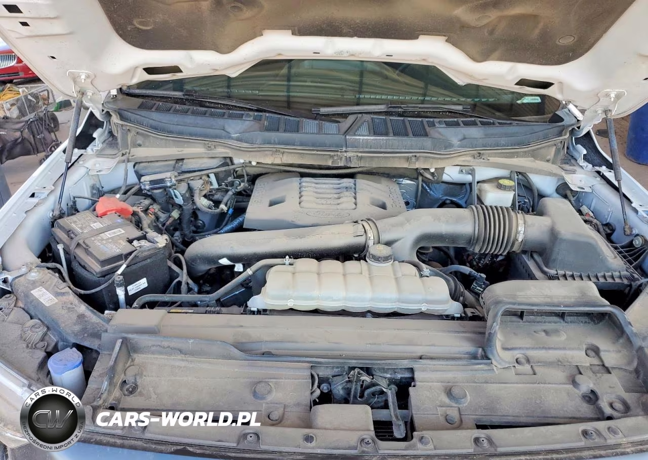 2021 Ford F150 Supercrew VIN:1FTFW1E83MFB17166 - 11