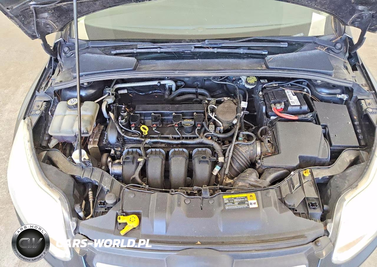 2013 Ford Focus Se VIN:1FADP3F20DL198631 - 11