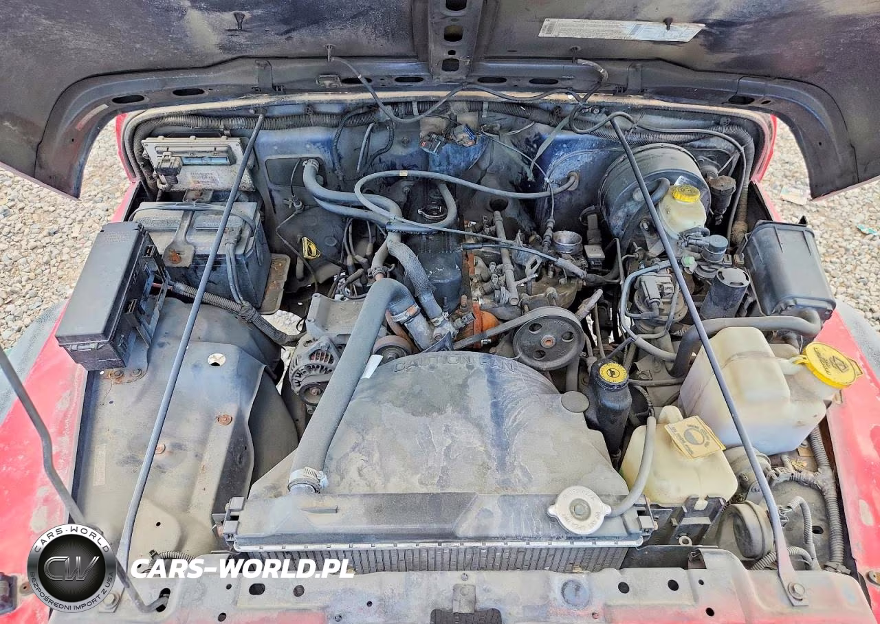 2001 Jeep Wrangler - Tj Se VIN:1J4FA29PX1P360608 - 11