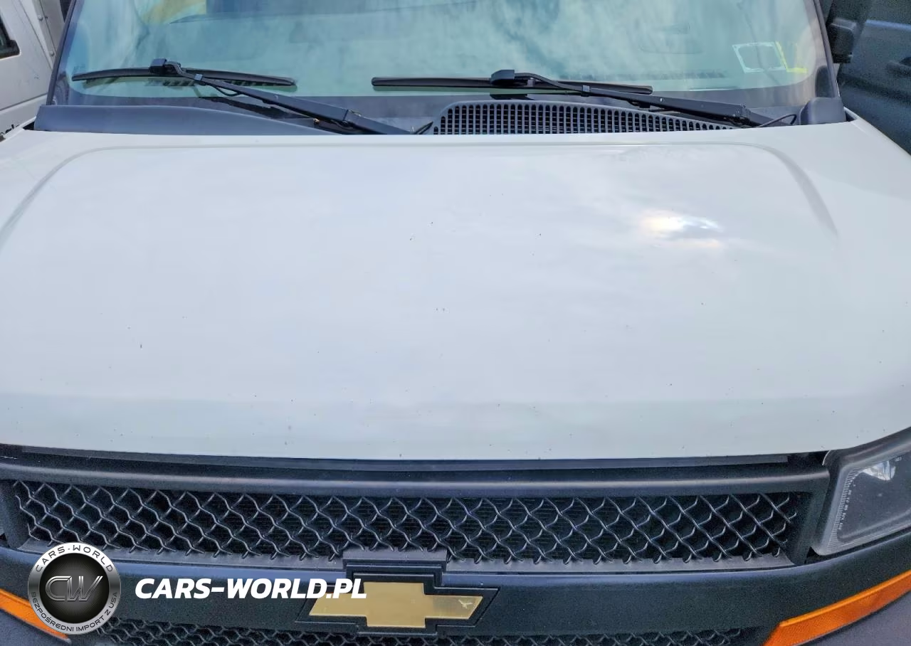 2019 Chevrolet Express Delivery Truck VIN:1GB0GRFP0K1183695 - 11
