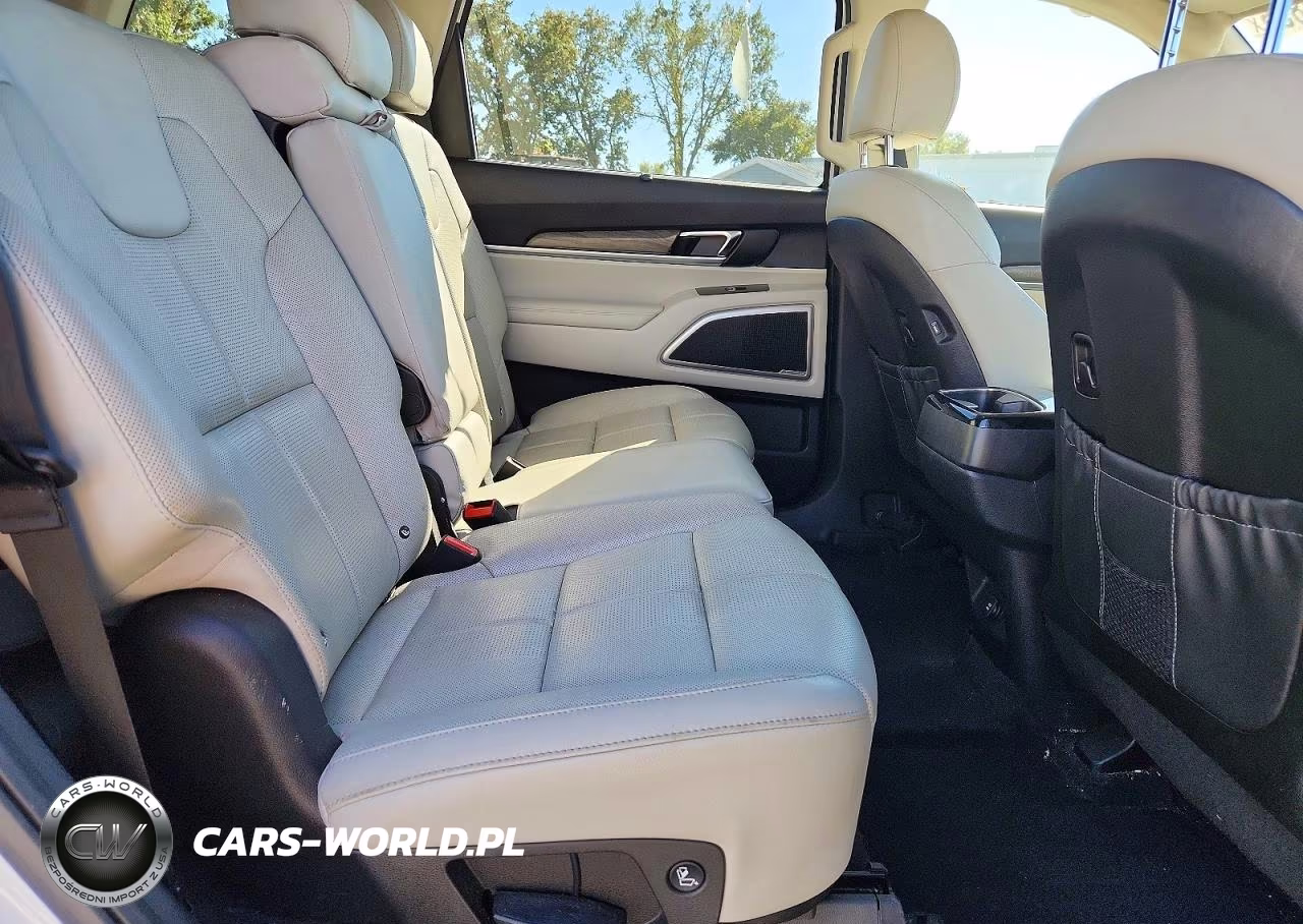 2020 Kia Telluride Ex VIN:5XYP3DHC5LG076887 - 11