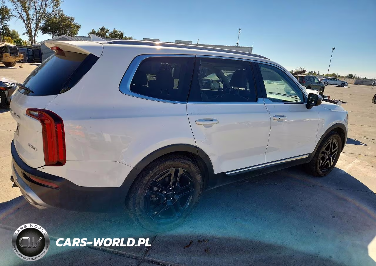 2020 Kia Telluride Ex VIN:5XYP3DHC5LG076887 - 3