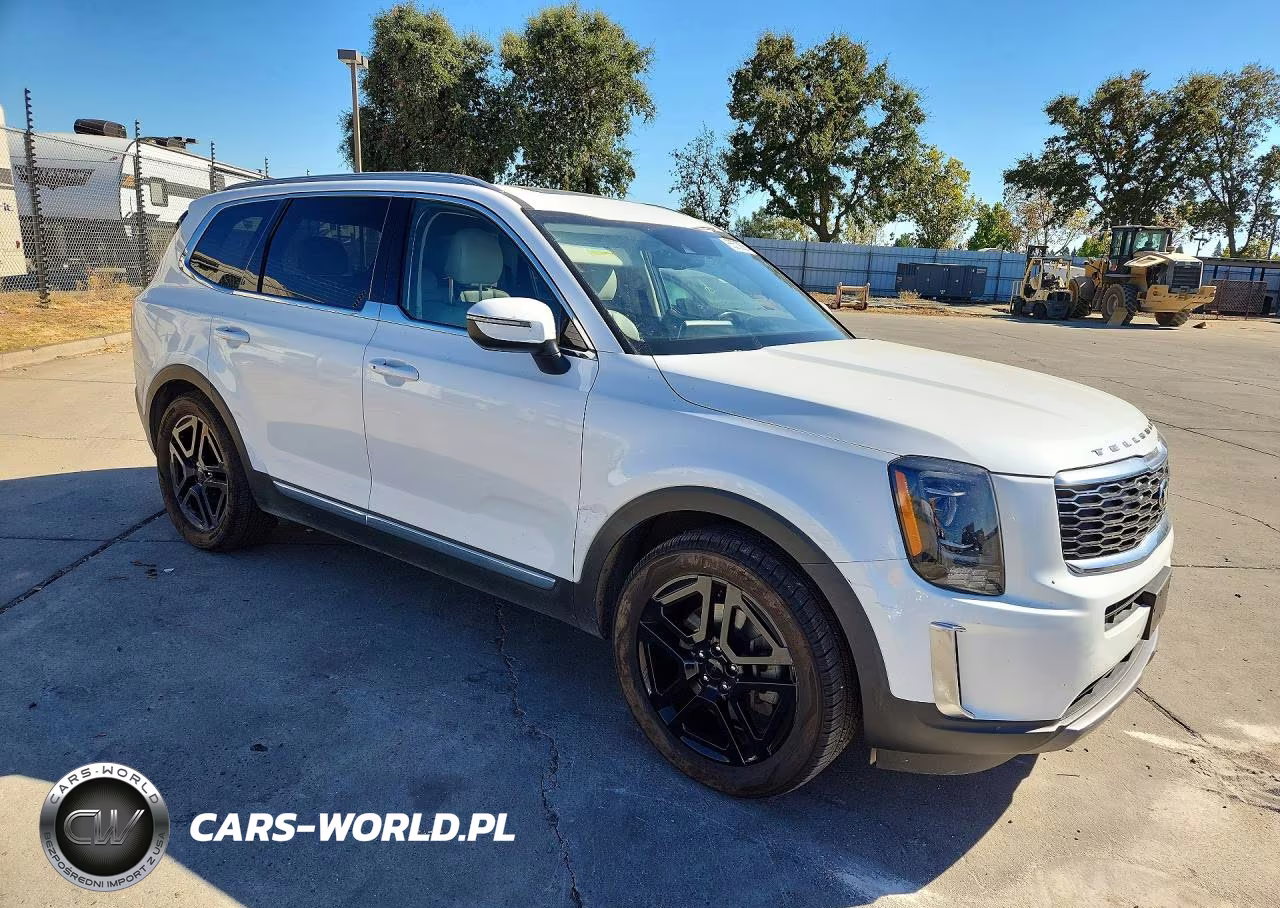 2020 Kia Telluride Ex VIN:5XYP3DHC5LG076887 - 4
