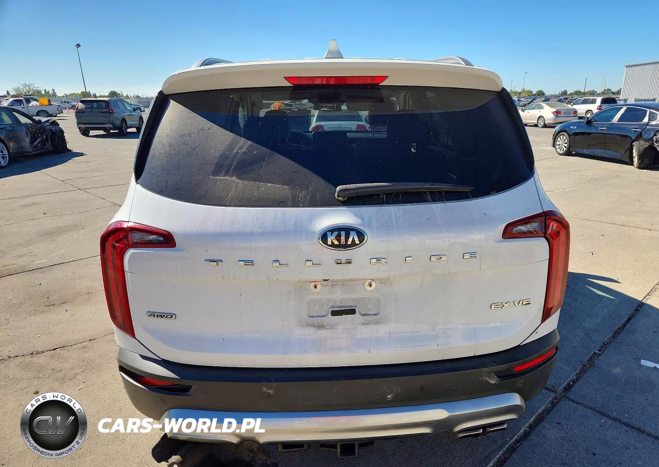 2020 Kia Telluride Ex VIN:5XYP3DHC5LG076887 - 6