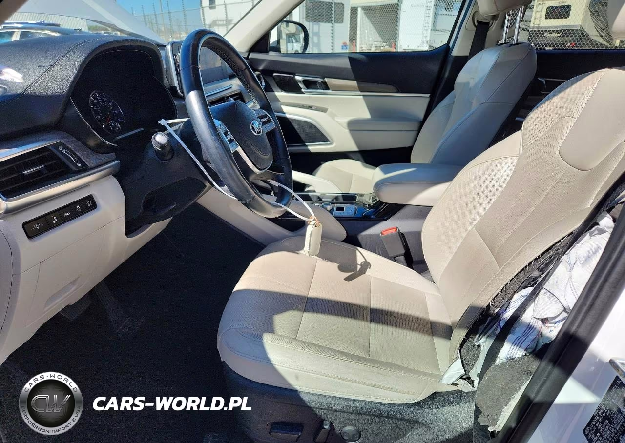 2020 Kia Telluride Ex VIN:5XYP3DHC5LG076887 - 7