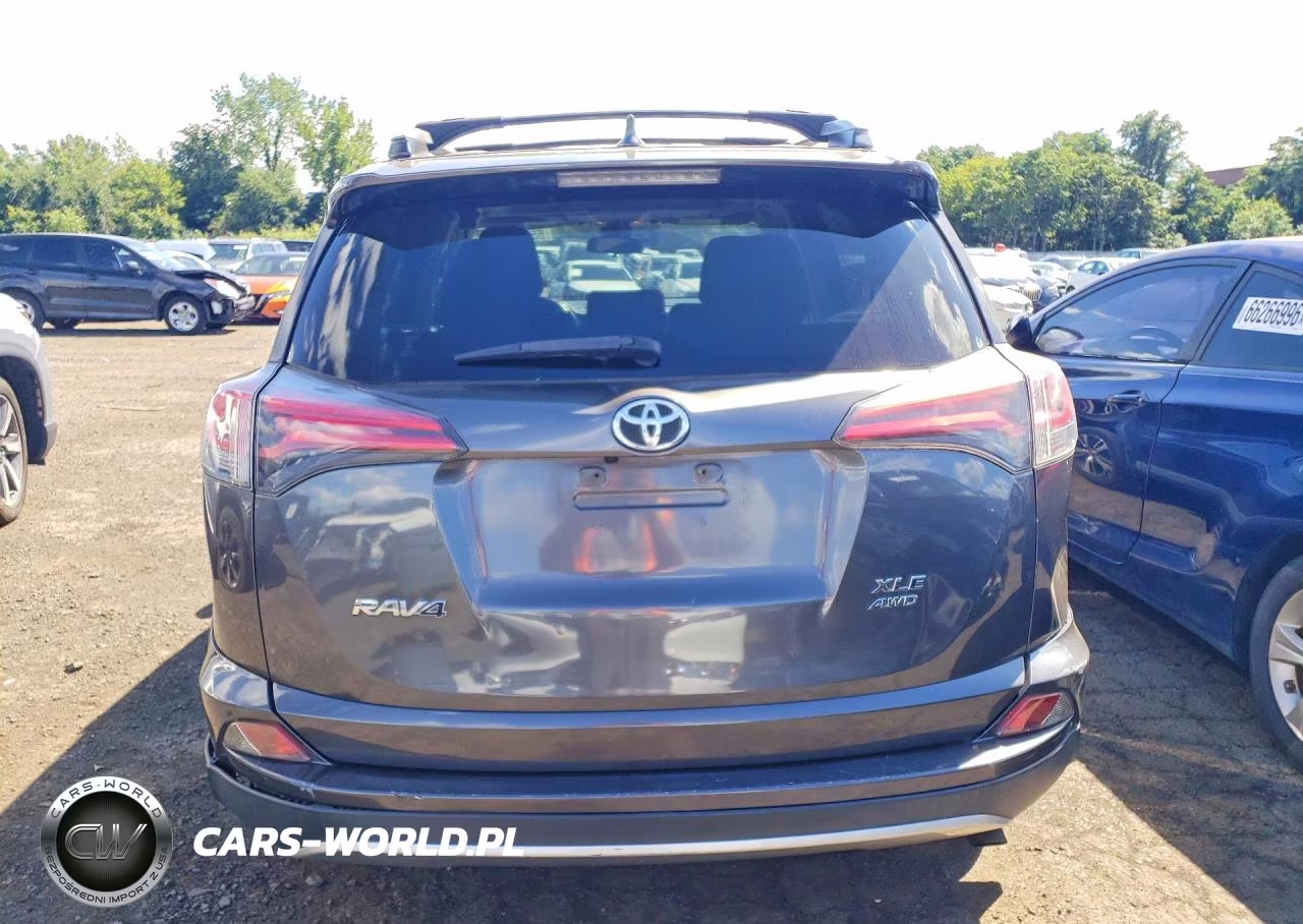 2017 Toyota Rav4 Xle VIN:JTMRFREV0HJ138531 - 6