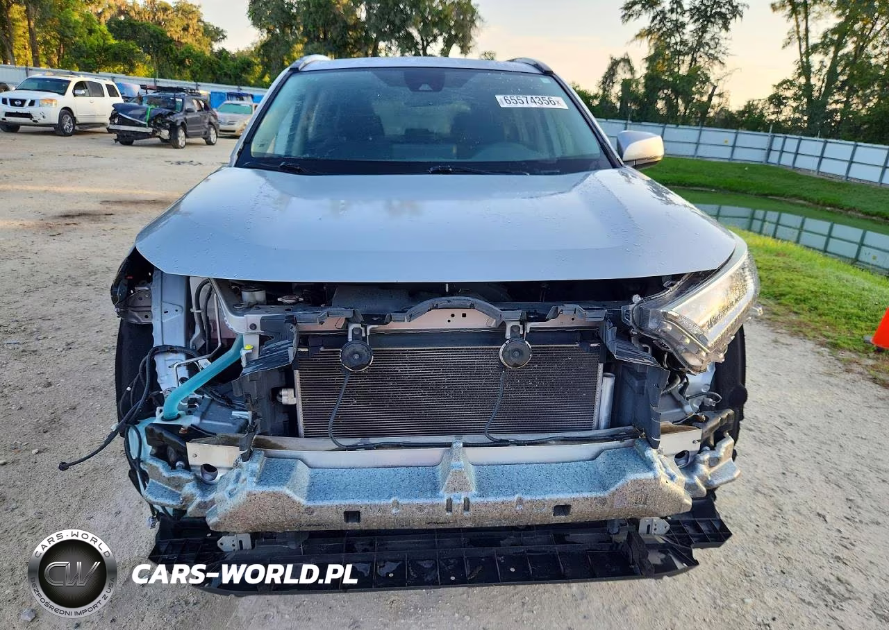 2019 Toyota Rav4 Xle VIN:2T3W1RFV1KW003194 - 5