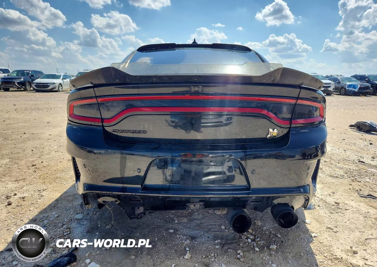 DODGE CHARGER SC VIN:2C3CDXGJ8PH690258 - 6