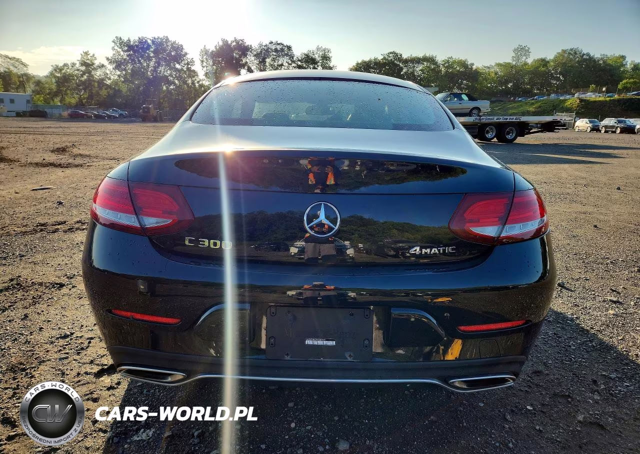 2017 Mercedes-Benz C 300 4Matic VIN:WDDWJ4KB7HF403596 - 6