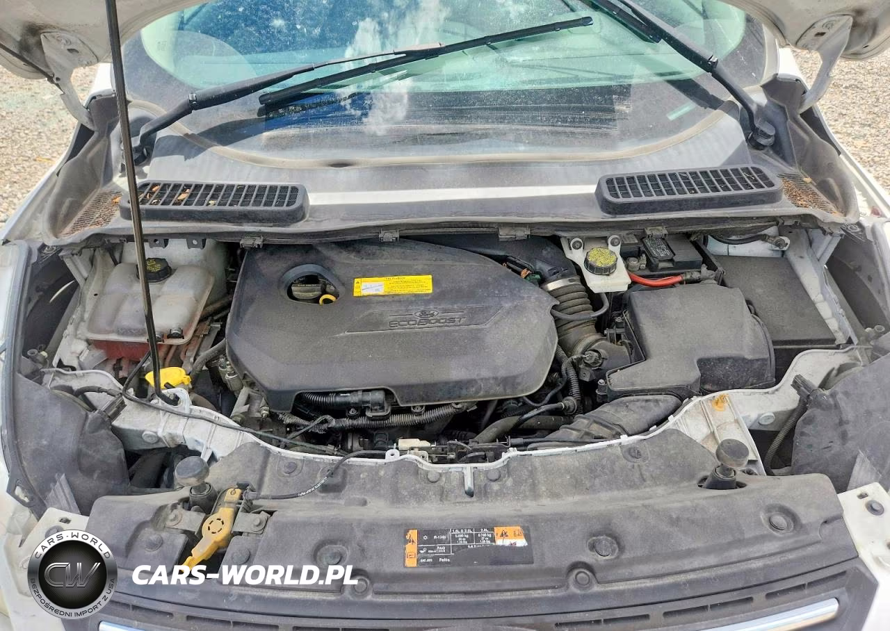 2016 Ford Escape Se VIN:1FMCU9GX1GUA68962 - 12