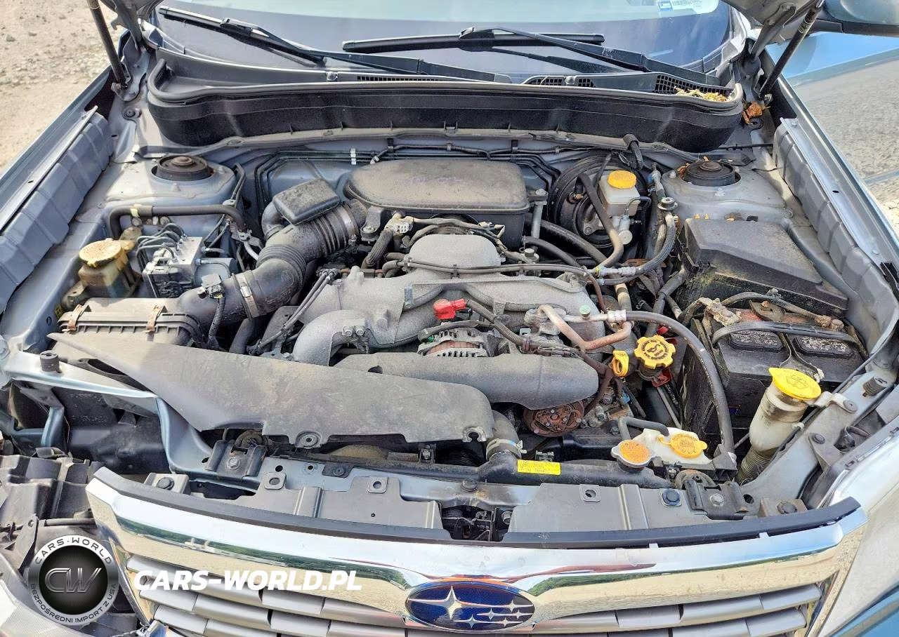 2010 Subaru Forester 2.5X Premium VIN:JF2SH6CC6AH719770 - 11