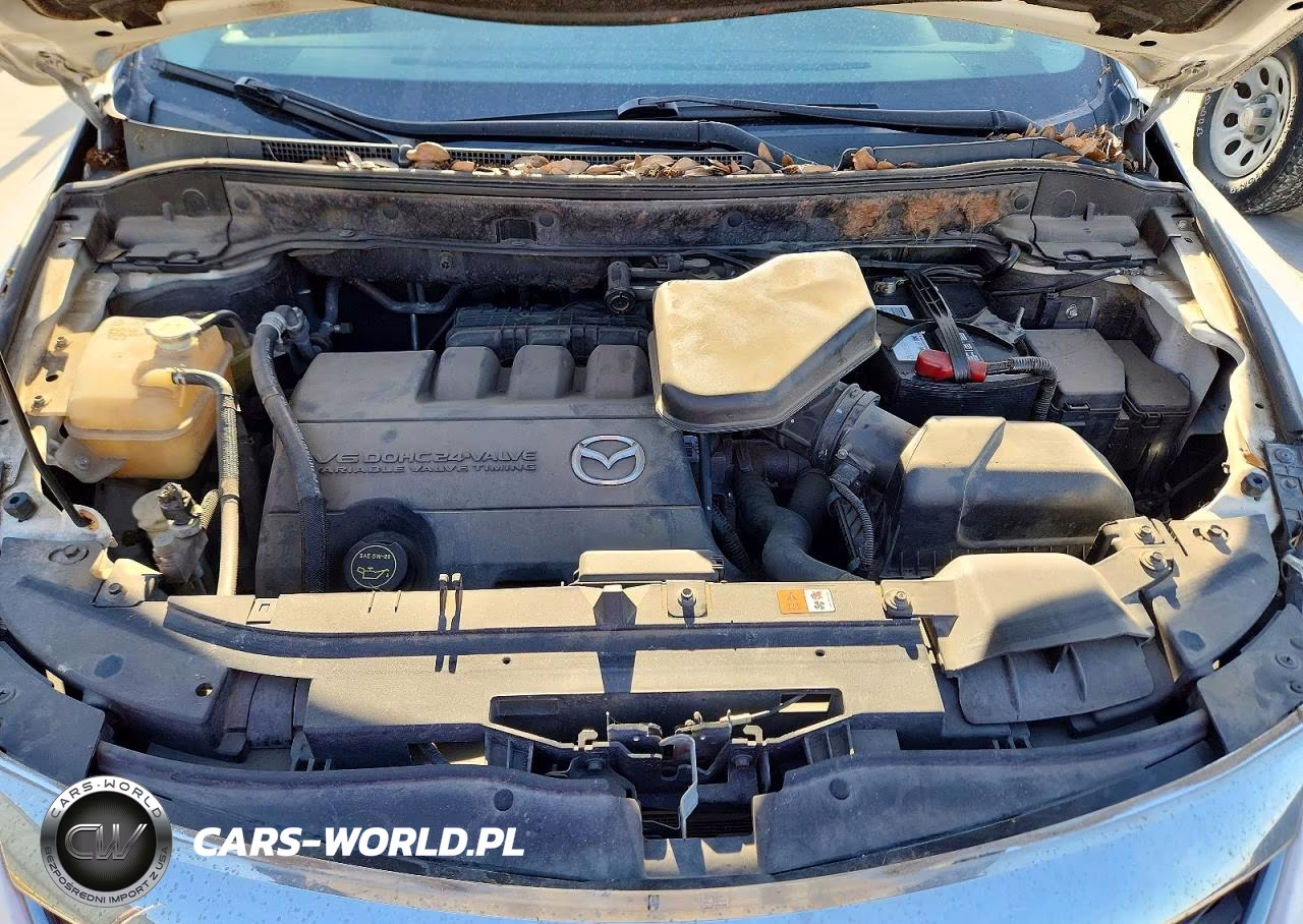 2011 Mazda Cx-9 VIN:JM3TB2BA5B0301074 - 12