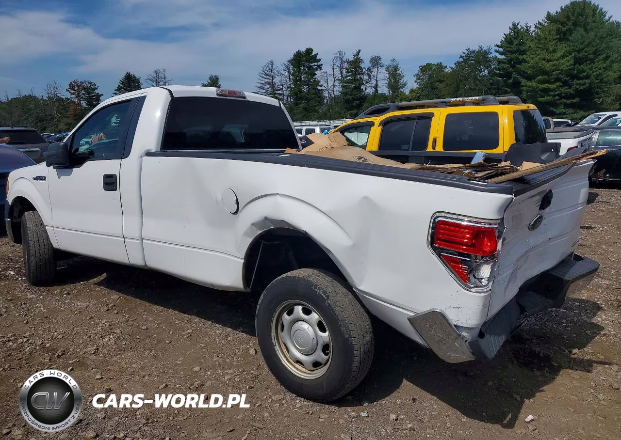 2010 Ford F150 VIN:1FTMF1CW9AKB60437 - 2