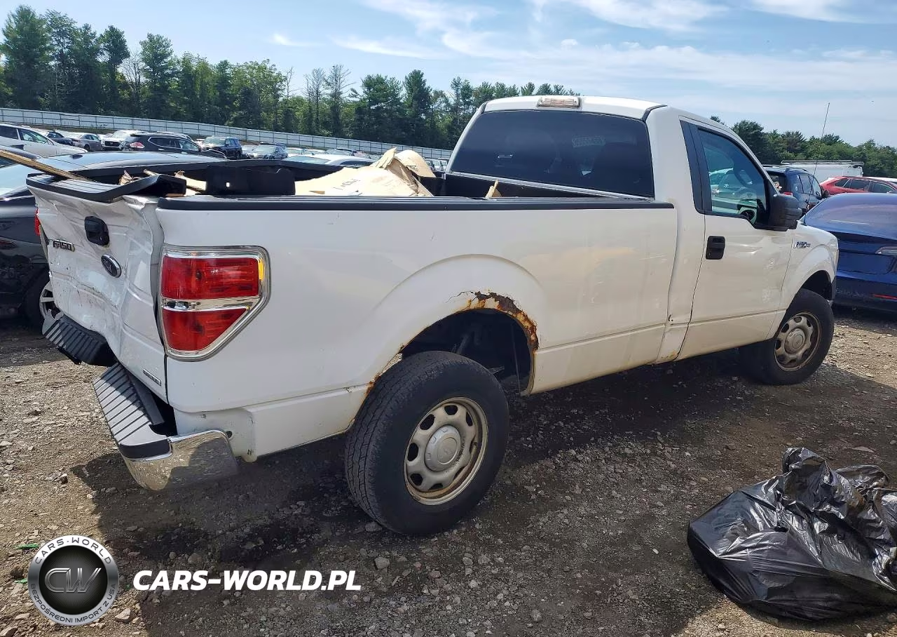 2010 Ford F150 VIN:1FTMF1CW9AKB60437 - 3