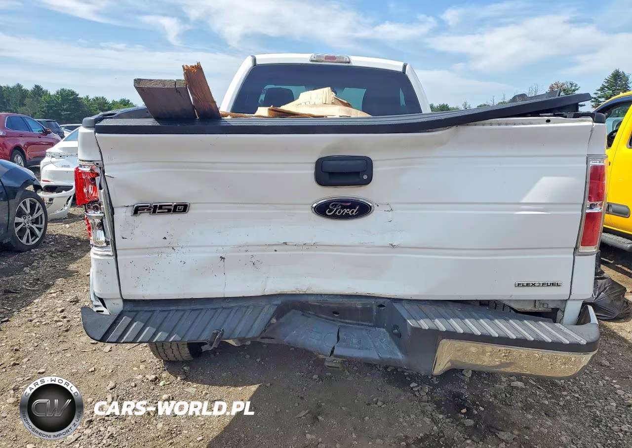 2010 Ford F150 VIN:1FTMF1CW9AKB60437 - 6