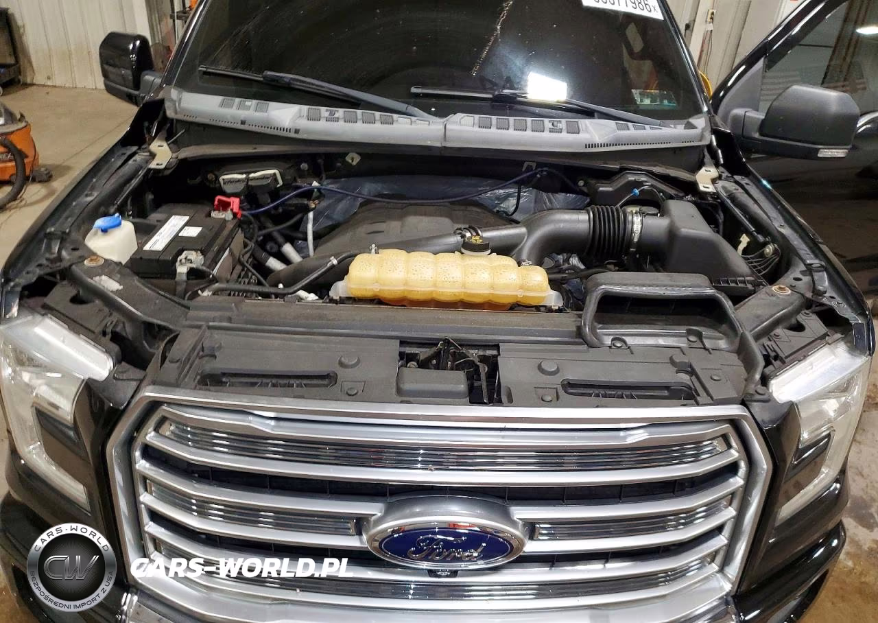 2016 Ford F150 Supercrew VIN:1FTEW1EG3GFD29752 - 11