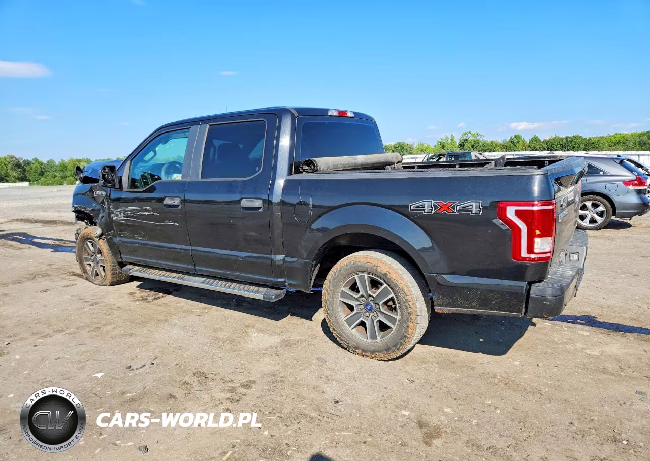 2015 Ford F150 Supercrew VIN:1FTEW1E83FFD09735 - 2