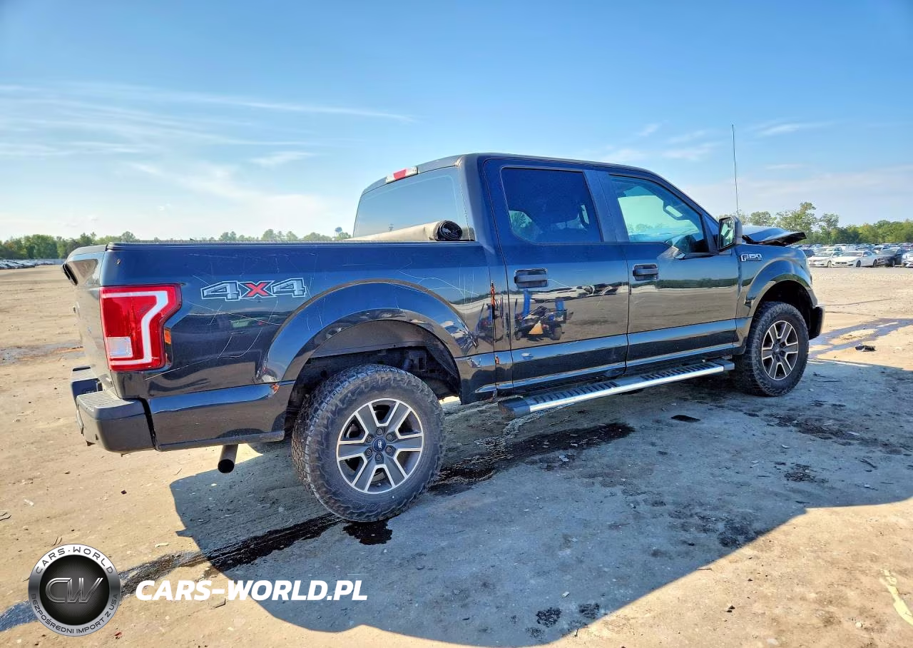 2015 Ford F150 Supercrew VIN:1FTEW1E83FFD09735 - 3